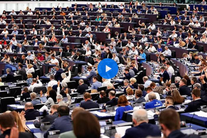 (ВИДЕО) Европарламент проголосовал за Закон о восстановлении природы. Проект отправлен на доработку