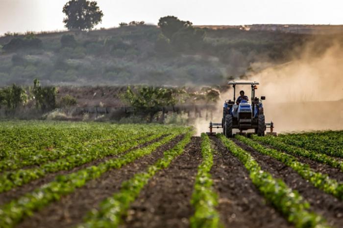 FERMIERII INTENŢIONEAZĂ SĂ PICHETEZE MIERCURI MINISTERUL AGRICULTURII ȘI AIPA