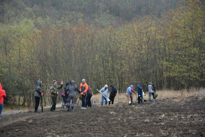 ÎN MOLDOVA A ÎNCEPUT PROGRAMUL NAȚIONAL DE EXTINDERE ȘI REABILITARE A PĂDURILOR