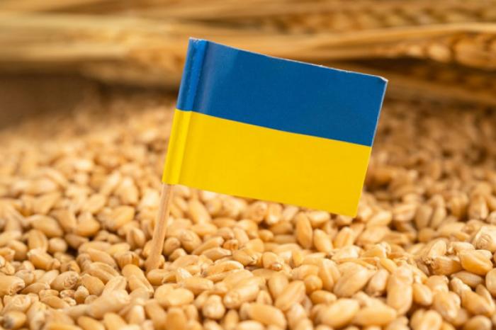 ТРАНЗИТ УКРАИНСКОЙ СЕЛЬХОЗПРОДУКЦИИ ЧЕРЕЗ ТЕРРИТОРИЮ МОЛДОВЫ В 2024 ГОДУ БУДЕТ СО СКИДКОЙ 27%