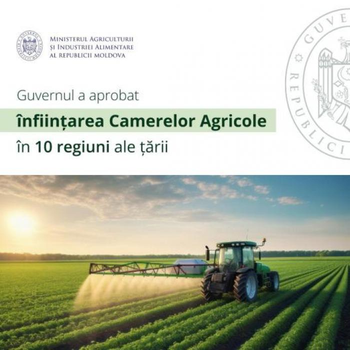 Mai mult sprijin pentru fermieri: Guvernul a aprobat crearea camerelor agricole