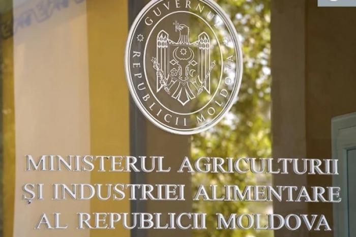 MINISTERUL AGRICULTURII VA DISCUTA SITUAȚIA DIFICILĂ CU PRODUCĂTORII ȘI PROCESATORII DE SEMINȚE DE FLOAREA-SOARELUI