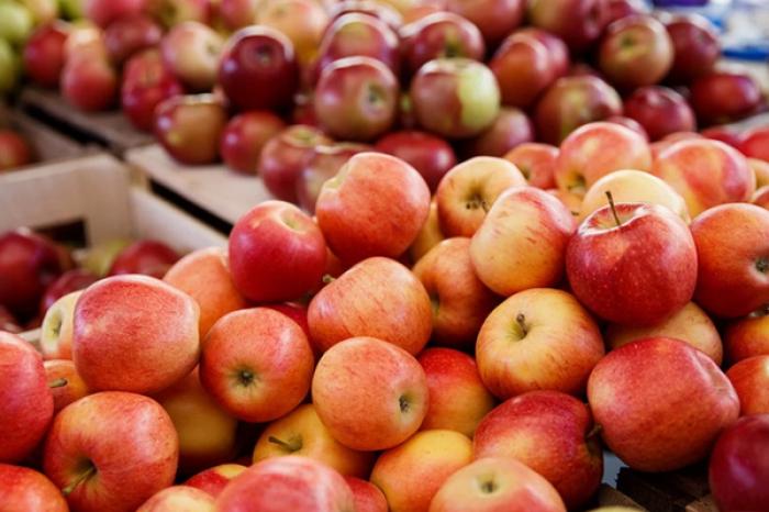 ROSSELHOZNADZOR A PERMIS IMPORTUL DE PRODUSE (FRUCTE ȘI LEGUME) ÎN RUSIA DIN AUTONOMIA GĂGĂUZĂ