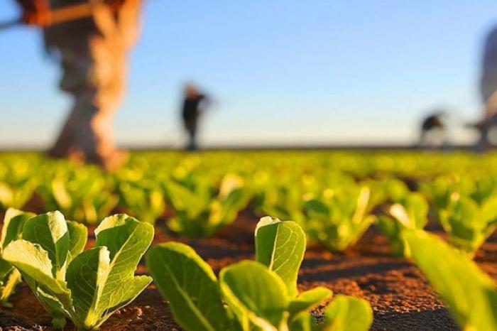 LEGEA PRIVIND MĂSURILE DE SPRIJIN PENTRU AGRICULTORI, PROMULGATĂ ȘI INTRATĂ ÎN VIGOARE DUPĂ PUBLICAREA ÎN MONITORUL OFICIAL