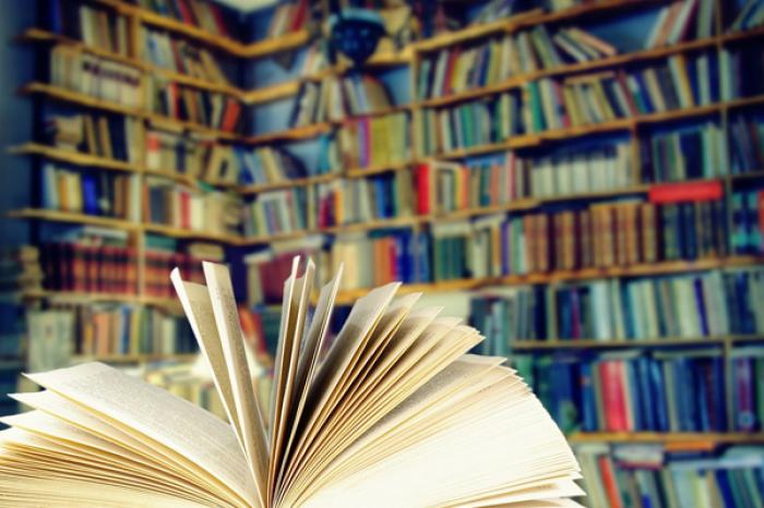 ​GUVERNUL INTRODUCE INOVAȚII ÎN PROCESUL DE EVALUARE A ACTIVITĂȚII BIBLIOTECILOR PUBLICE