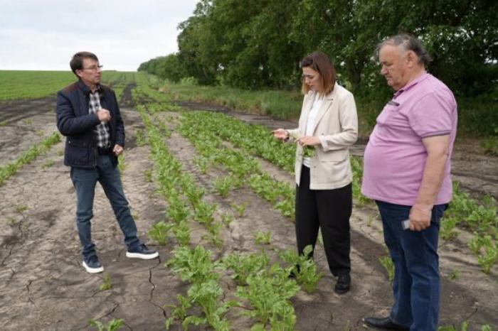 MINISTERUL AGRICULTURII EVALUEAZĂ PIERDERILE FERMIERILOR DIN CAUZĂ DE ÎNGHEȚURILE DE PRIMĂVARĂ ȘI ELABOREAZĂ MĂSURI DE SPRIJIN