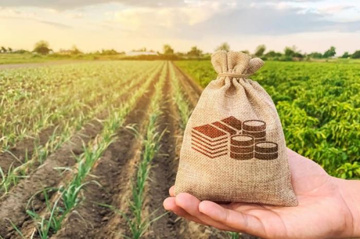 UE VA ACORDA GRANTURI DE PÂNĂ LA 383 DE MII DE LEI CĂTRE 19 ÎNTREPRINDERI AGRICOLE DIN MOLDOVA