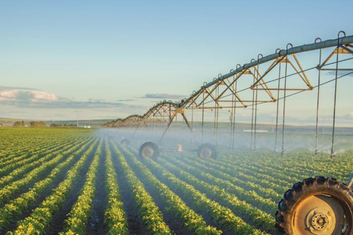 ​FOST DEPUTAT: MOLDOVA ARE NEVOIE DE UN MODEL EUROPEAN DE AGRICULTURĂ