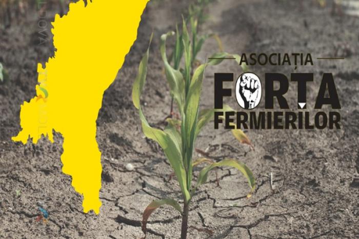 ASOCIAȚIA FORȚA FERMIERILOR CERE AUTORITĂȚILOR SĂ CONSIDERE AGRICULTURA CA O PRIORITATE NAȚIONALĂ