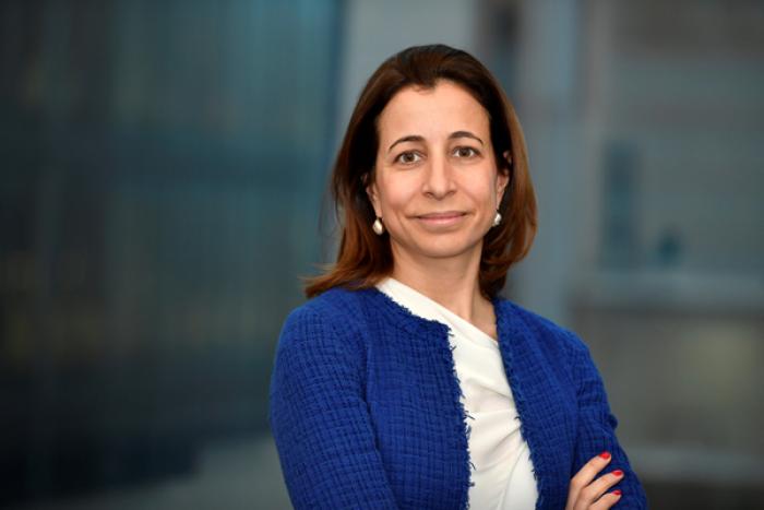 INES ROCHA: IFC VA CONTINUA SĂ OFERE SPRIJIN PENTRU DEZVOLTAREA SECTORULUI PRIVAT ÎN REPUBLICA MOLDOVA ÎN DOMENIILE ENERGIEI, AGRICULTURII ȘI ACCESULUI LA FINANȚARE