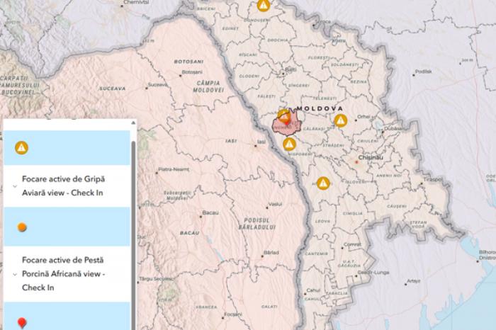 ​MOLDOVA ARE NOI FOCARE DE RABIE ȘI PESTĂ PORCINĂ AFRICANĂ