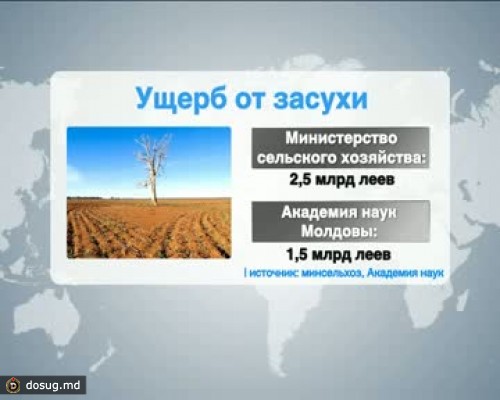 Семья с потеряла по причине засушливого лета. Причиняемый ущерб засухи. Причиняемый ущерб засухи в России. Ущерб сельскому хозяйству. Причиняемый ущерб засухи таблица.