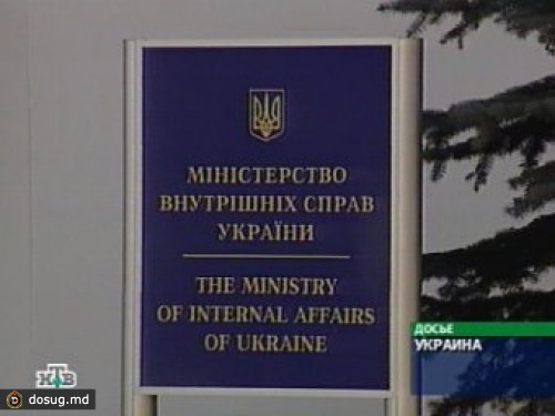 Активистка FEMEN бросила торт в главу пресс-службы МВД Украины