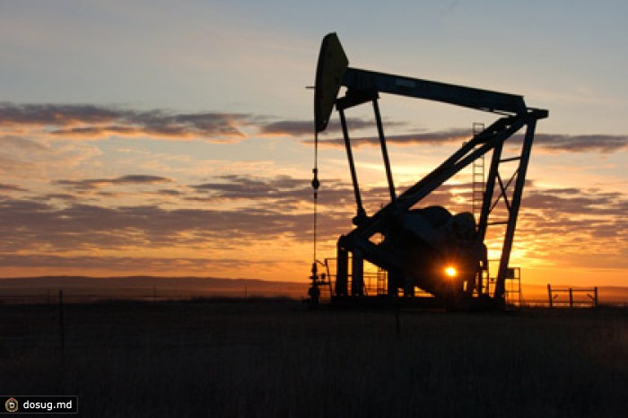 Американские бизнесмены попросили снять запрет на экспорт нефти
