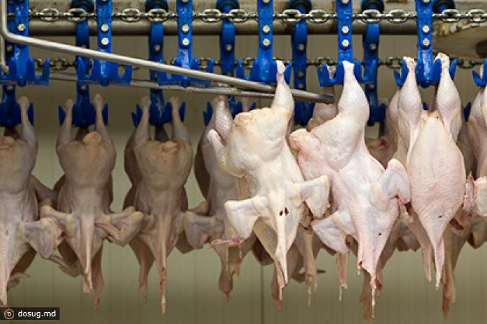 Американскую курятину попытались ввезти в Россию через Казахстан