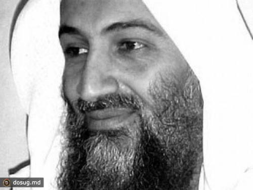 Amnesty International сочла ликвидацию бин Ладена незаконной