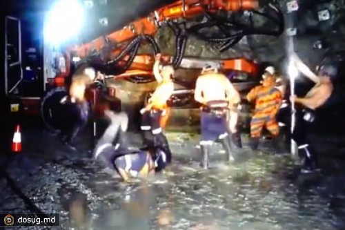 Австралийских золотодобытчиков уволили за «Harlem Shake»