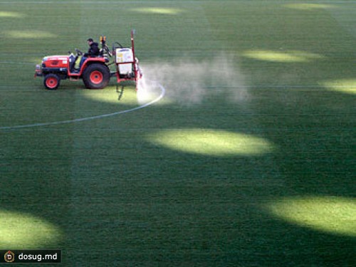 Австрийские чиновники пожертвуют Евро-2012 ради Тимошенко