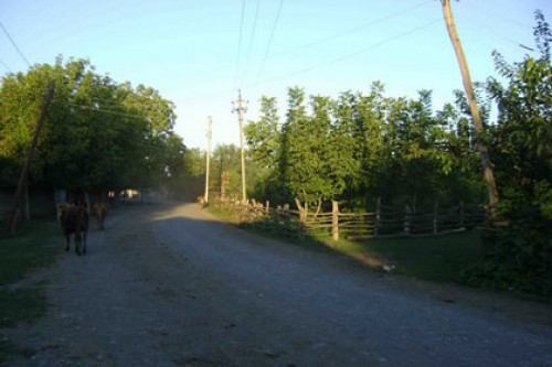 Азербайджанец застрелен на границе с Грузией