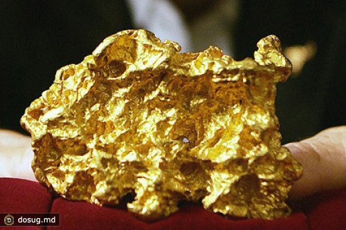 Бактерий решили использовать для добычи золота