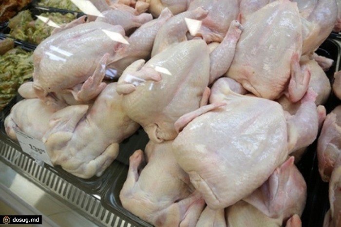 Белоруссия запретила ввоз астраханской птицы