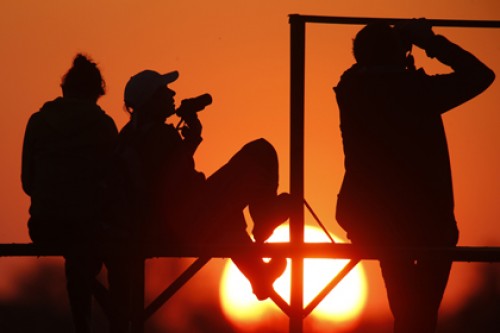 Большинство белорусов отказались от бессмертия