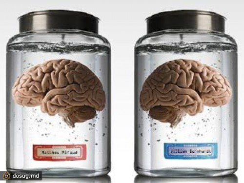 Британские рекламщики выставили мозги на продажу