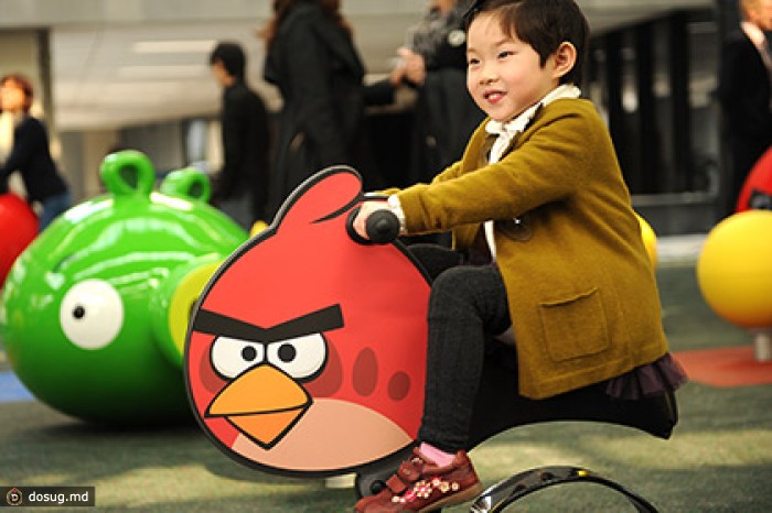 Британские школьники будут учиться на Angry Birds