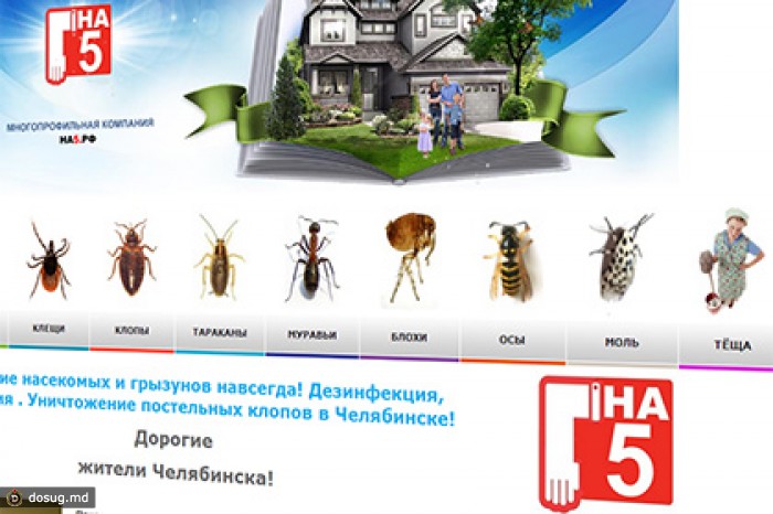 Челябинская фирма предлагала услуги по избавлению от тещи