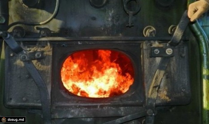 Чиновница сожгла щенка в топке котельной для устрашения подчиненных