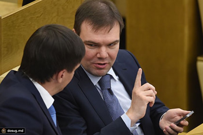 Депутат Левин возглавил организацию по защите интернет-пользователей