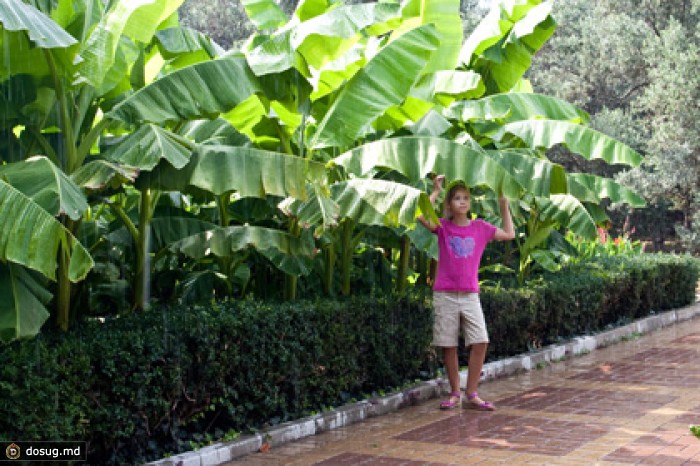 Экологи в Крыму выступили против искусственного дождя