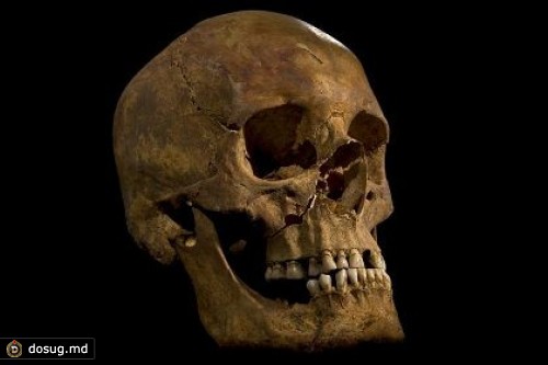 Эксперты доказали принадлежность найденного в Лестере скелета Ричарду III