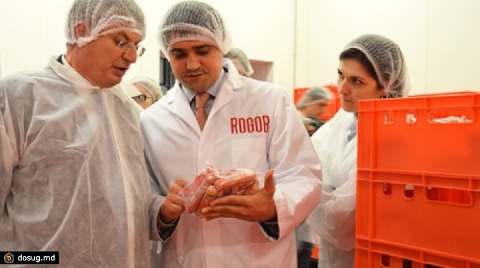 Эксперты и потребители выбрали «ROGOB»