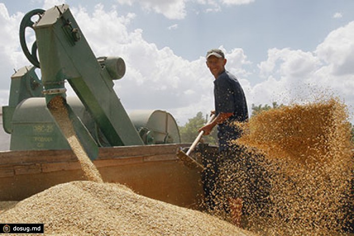 Экспортеры прекратили закупку зерна в России