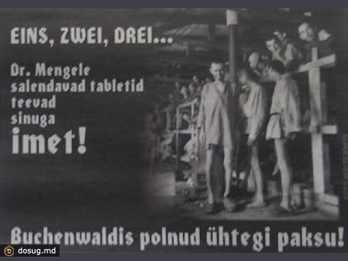 Эстонская газета извинилась за шутку про концлагерь