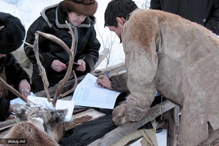 Эвенкия попросилась в Арктическую зону