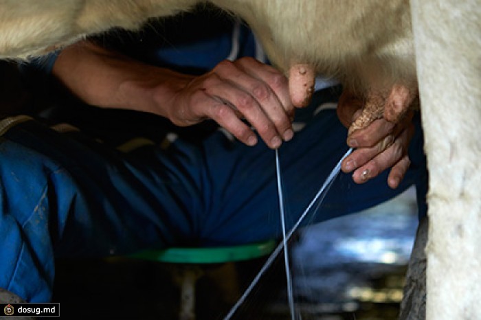 Еврокомиссия выделила прибалтийским молочникам 28 миллионов евро