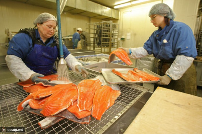 ФАС начала проверки производителей рыбы