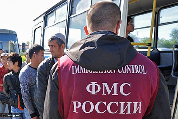 ФМС разрешат досматривать машины и вылавливать нелегалов на улицах