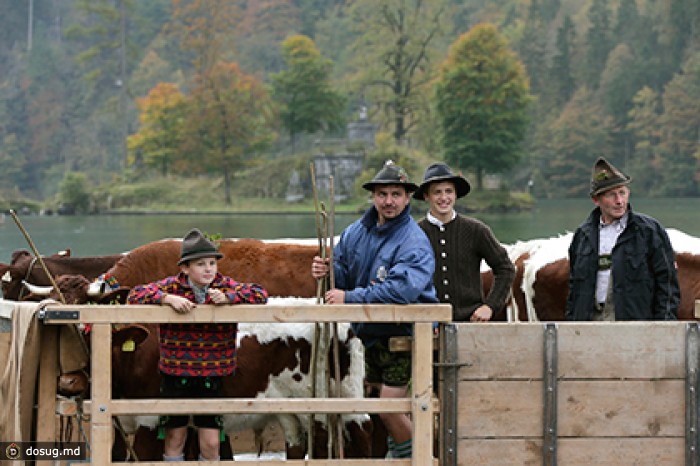 Фермеры Европы потеряли 5 миллиардов евро из-за санкций против России