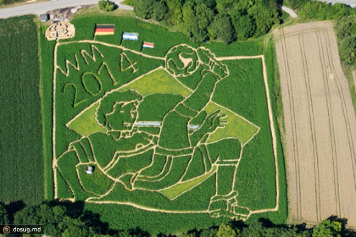 Фермеры вырастили лабиринт в честь победы сборной Германии на ЧМ-2014