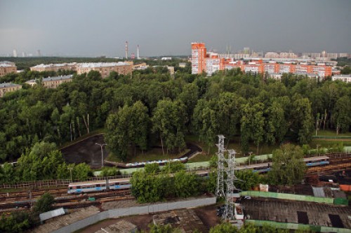 Филевскую линию московского метро перегородило упавшее дерево