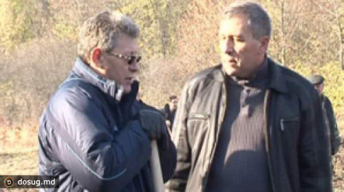 Гимпу выразил недовольство тем, что вынужден был сажать дубы: Знал бы – не пришел