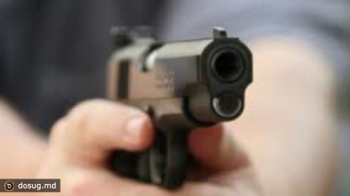 Гипотезы криминалистов о том, как был застрелен Вадим Писарь