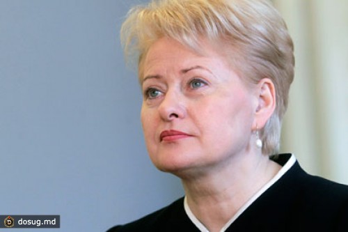 Главу Литвы наградили премией короля франков