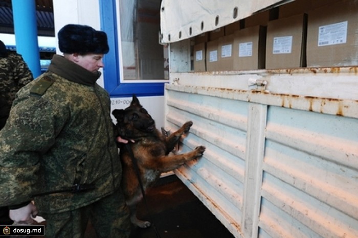 Голландцы не нашли следов военной деятельности в Ростовской области