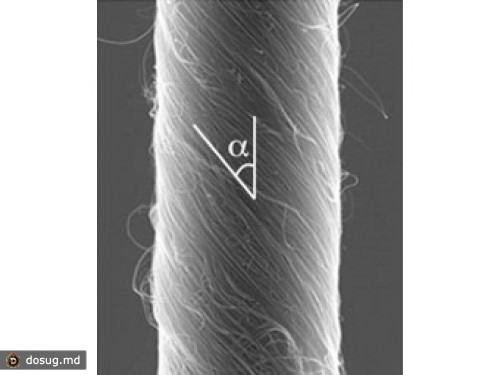 Химики сделали из нанотрубок искусственный мускул