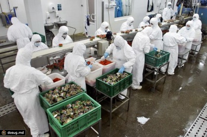 Компания «Русское море» показала рекордные результаты деятельности