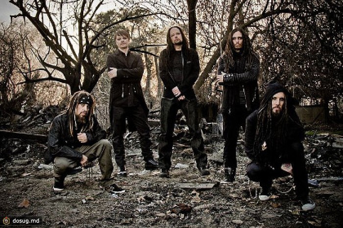Korn и Soulfly отменили концерт в Киеве